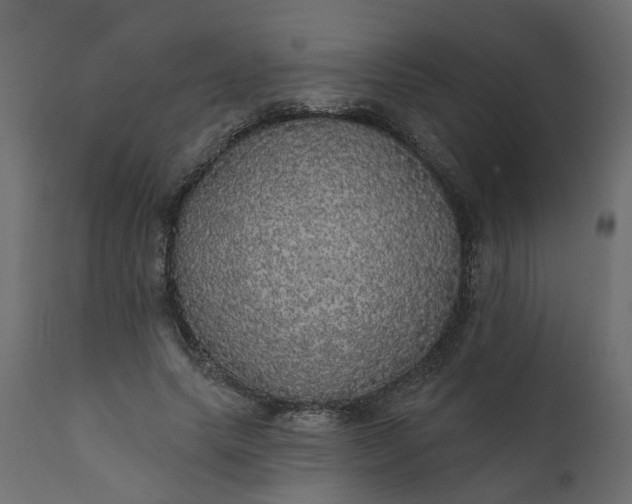 X0000110700639200906261409