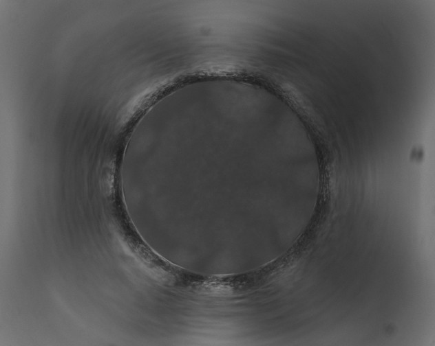 X0000110700640200906261409