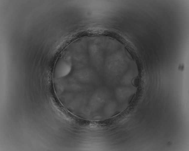 X0000110700641200906261409