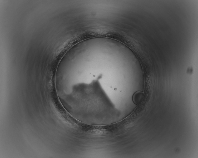 X0000110700642200906261409