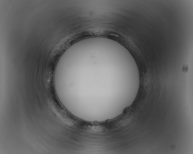 X0000110700645200906261409