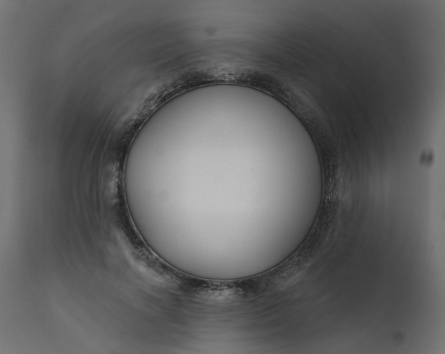 X0000110700646200906261409