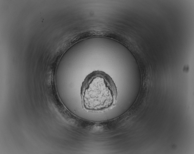 X0000110700647200906261409