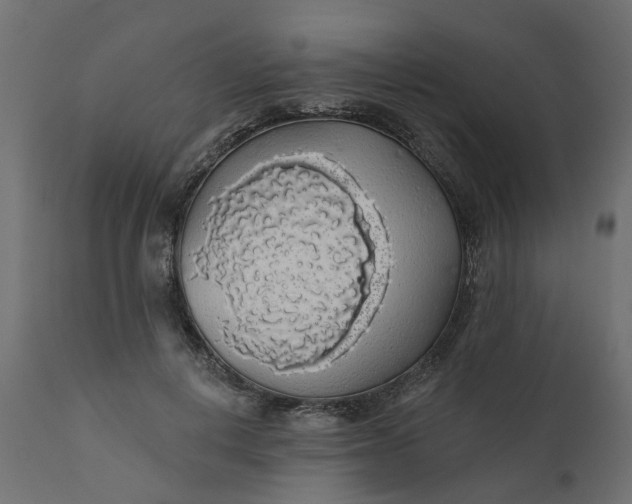 X0000110700648200906261409