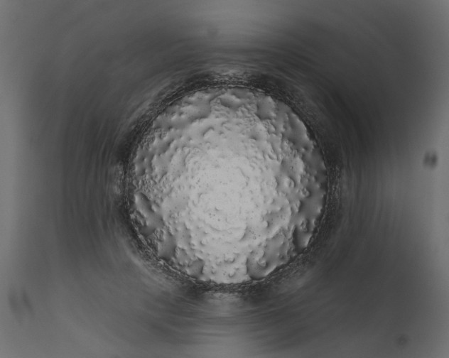 X0000110700649200906261409