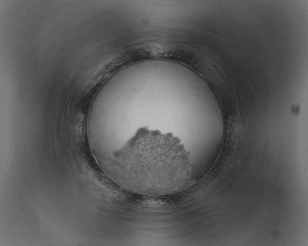 X0000110700650200906261409