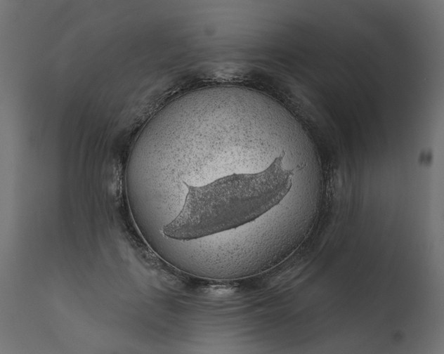 X0000110700651200906261409