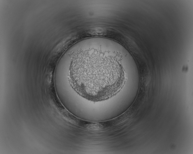 X0000110700652200906261409