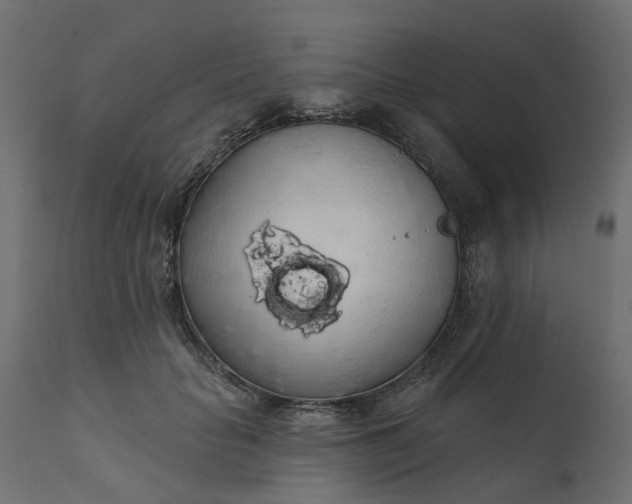 X0000110700653200906261409