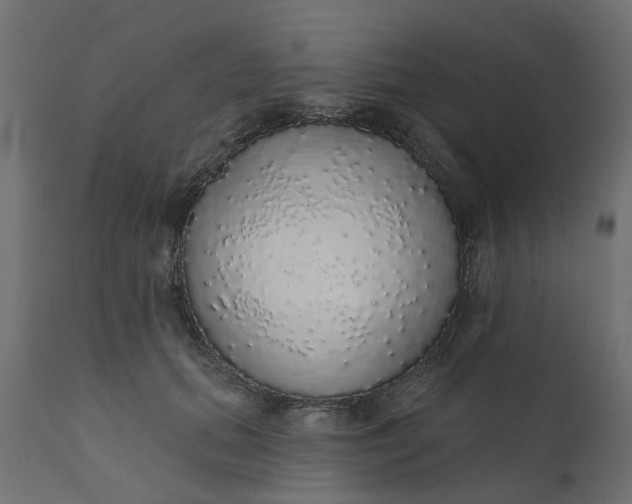 X0000110700655200906261409