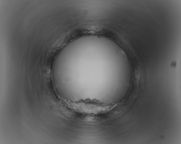 X0000110700657200906261409