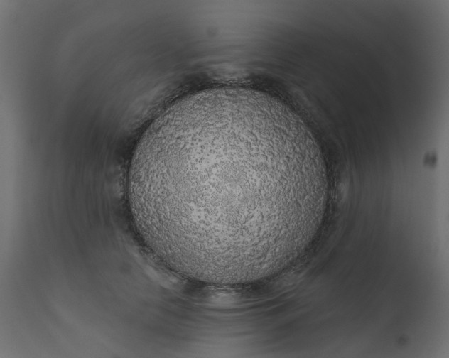 X0000110700658200906261409