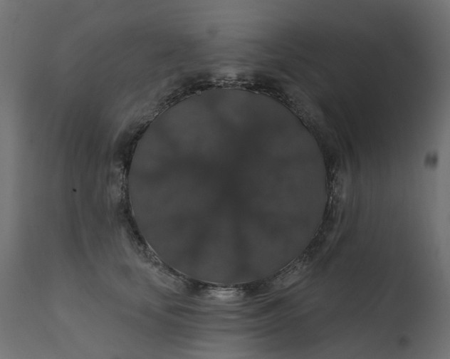 X0000110700659200906261409