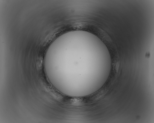 X0000110700660200906261409