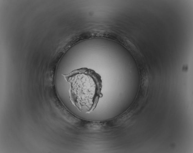 X0000110700661200906261409