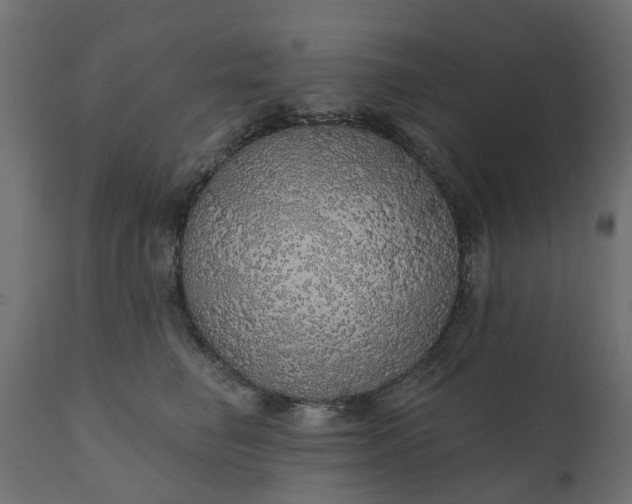 X0000110700662200906261409