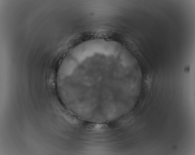 X0000110700663200906261409