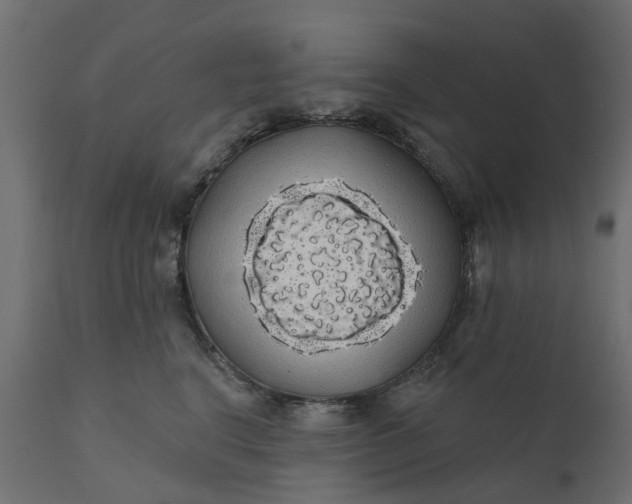 X0000110700664200906261409