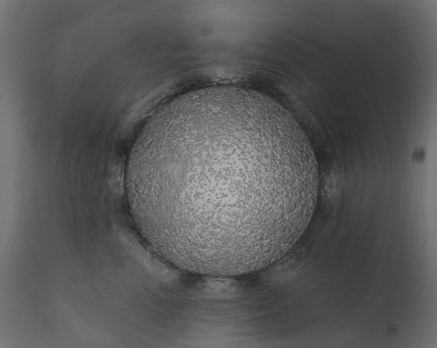 X0000110700666200906261409