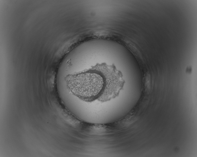 X0000110700668200906261409