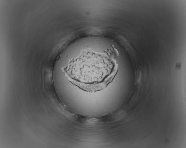 X0000110700669200906261409