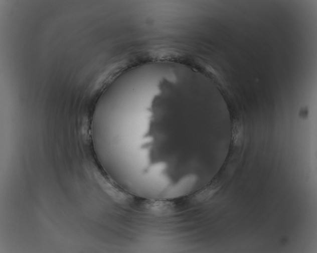 X0000110700670200906261409