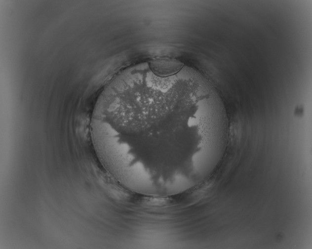 X0000110700671200906261409