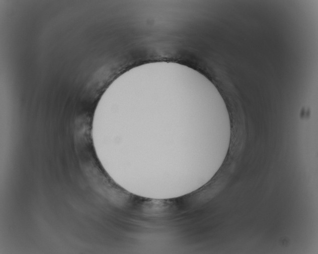 X0000110700672200906261409