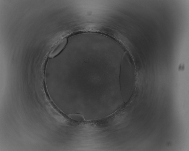 X0000110700673200906261408