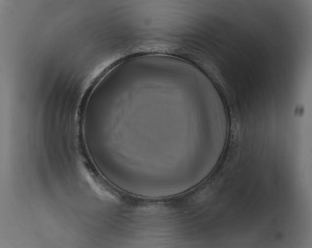 X0000110700674200906261408