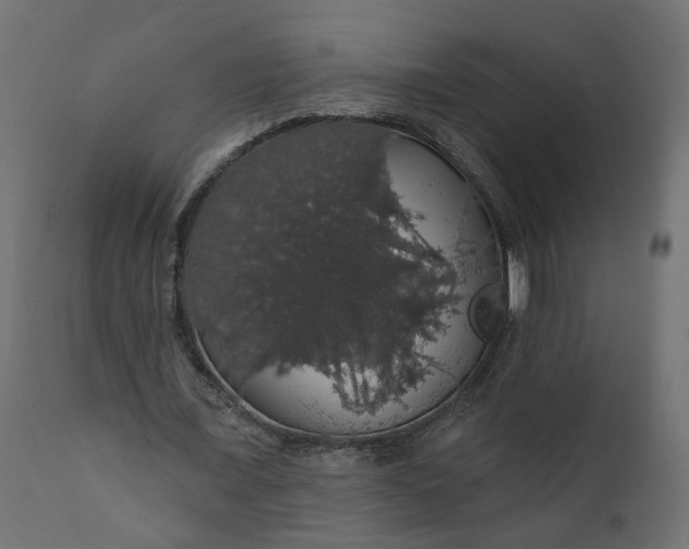 X0000110700675200906261408