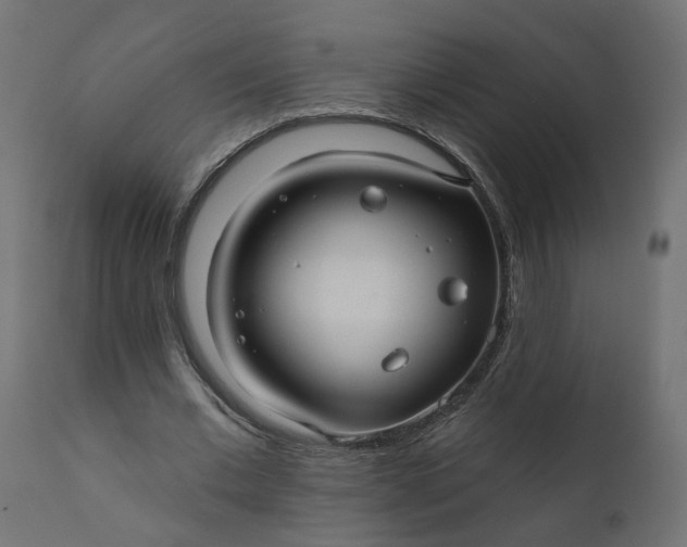 X0000110700677200906261408