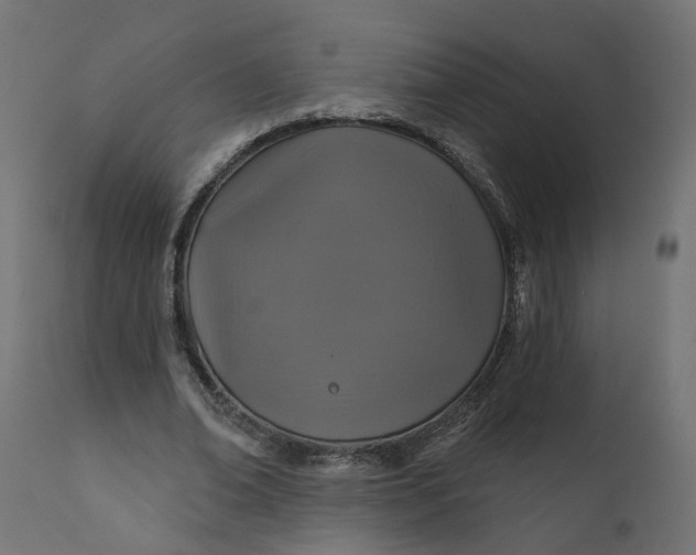 X0000110700678200906261408