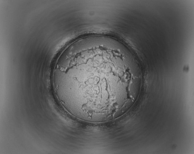 X0000110700679200906261408