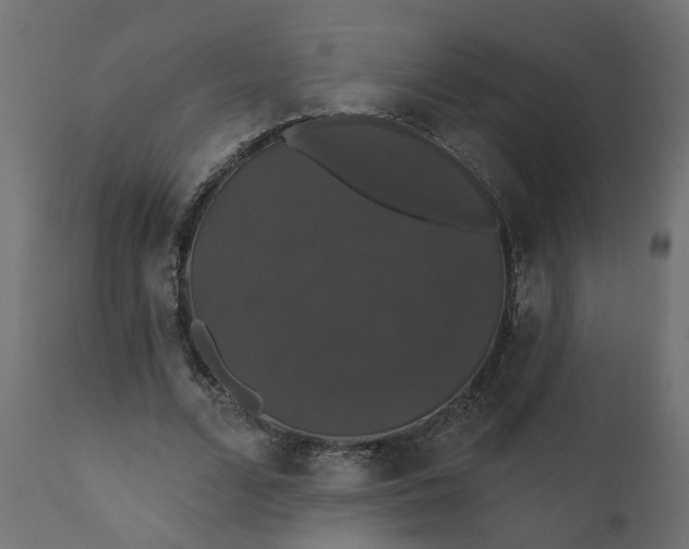 X0000110700680200906261408