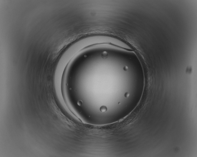 X0000110700681200906261408