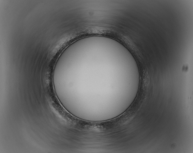 X0000110700683200906261408