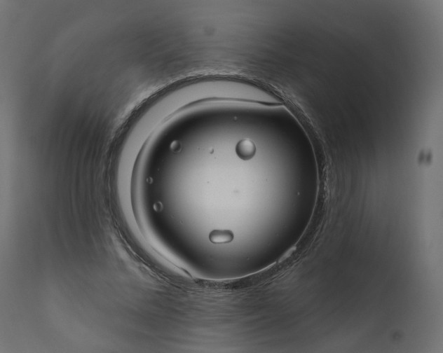 X0000110700684200906261408