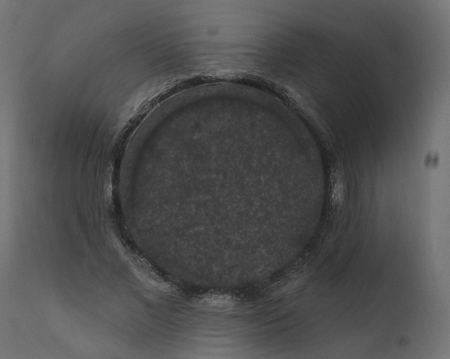 X0000110700685200906261408