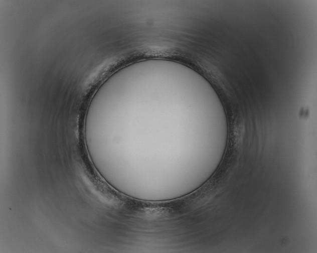 X0000110700686200906261408