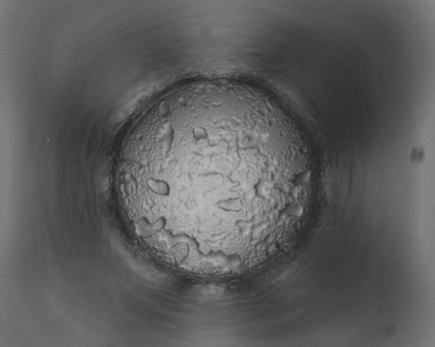 X0000110700687200906261408