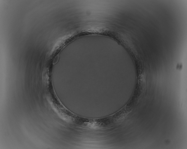 X0000110700688200906261408