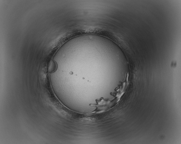 X0000110700691200906261408