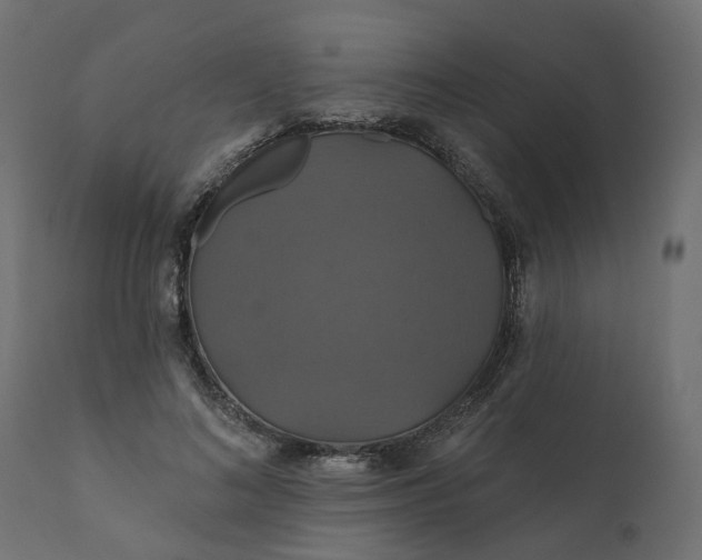 X0000110700692200906261408