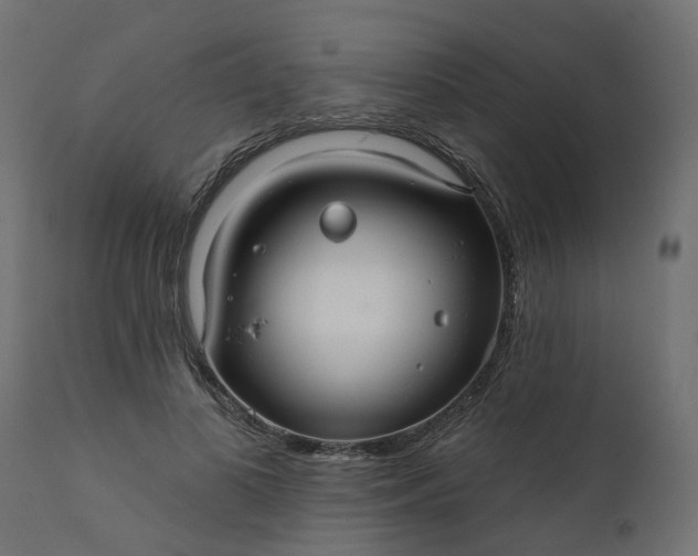 X0000110700693200906261408