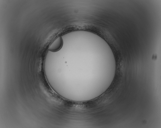 X0000110700694200906261408