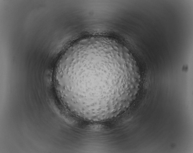 X0000110700695200906261408