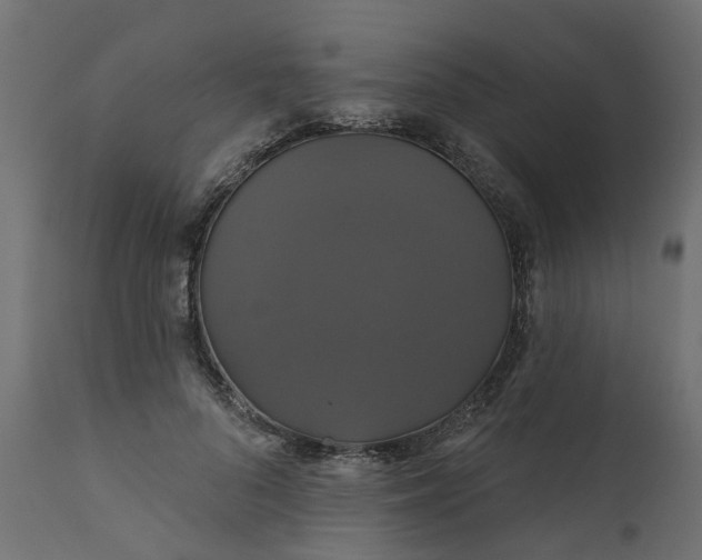 X0000110700696200906261408