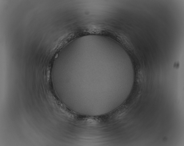 X0000110700697200906261408