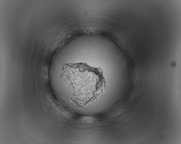 X0000110700699200906261408